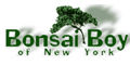 Bonsai Boy