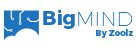 BigMind