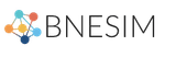 BNESIM