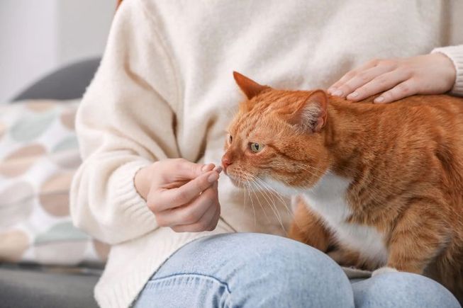 $20 Off at Revival Animal Health