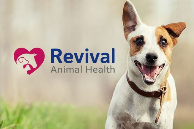 15% Off at Pet Wellness Direct